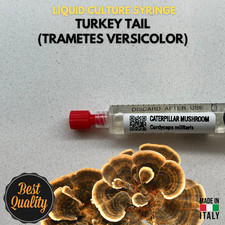 Cultura Liquida Turkey Tail  -