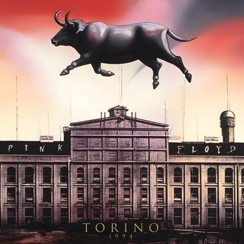 Pink floyd torino - pink,
