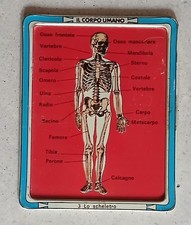 Placca metallo IL CORPO UMANO