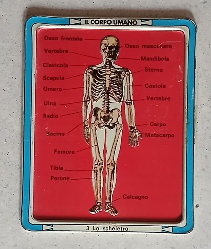 Placca metallo corpo umano - metallo,
