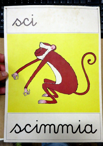 Cartello alfabetiere per - cartello,