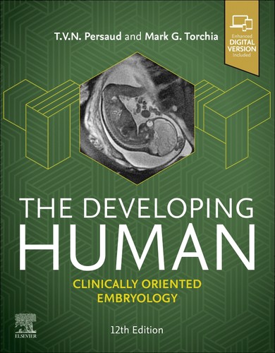 The developing human - the,