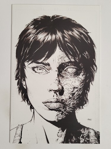 Walking dead deluxe - #11, image