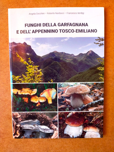 Funghi della garfagnana - garfagnana, e