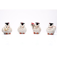 8 PZ Gufo Gufetto LAUREA in