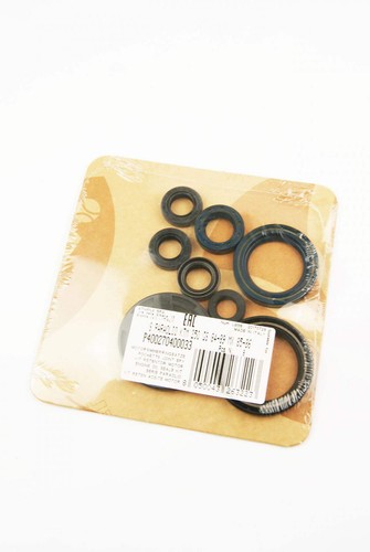 Set guarnizioni olio motore
