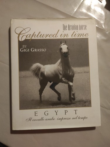 Egypt cavallo arabo the - egypt, il