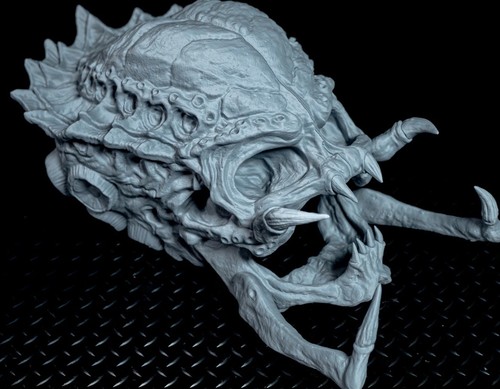 Trofeo teschio predator - teschio, da