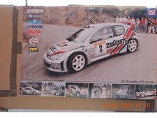 Poster  Peugeot 206 rally  Zucchetti M.Ferrecchi-GF Imerito  83X56