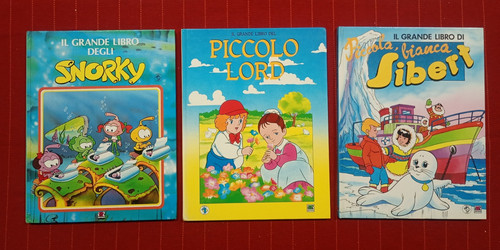Grande libro del piccolo - libro,