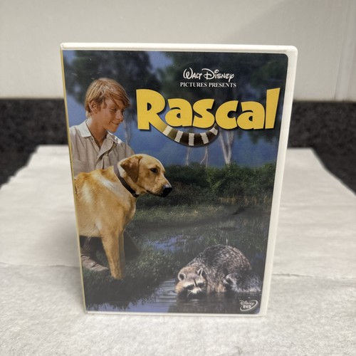 Rascal walt - rascal, (dvd,