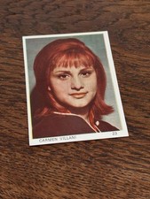 Figurina Cantanti di Successo