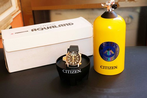 Citizen aqualand promaster 6 - promaster, "6