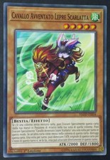 CAVALLO AVVENTATO LEPRE