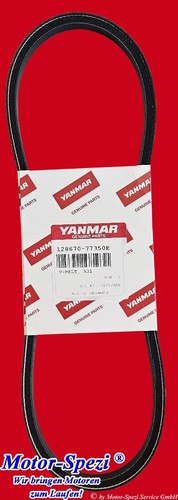 Cinghia trapezoidale yanmar - trapezoidale,