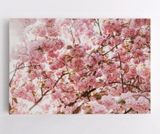 Quadri da parete fiore fiori