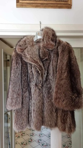 Pelliccia marmotta - pelliccia, di