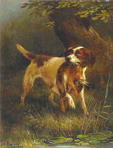 Nuova cartolina cani museo - nuova,