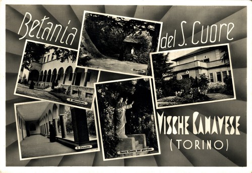 Vische torino istituto del - vische,,