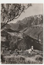 RAOSSI DI VALLARSA - TRENTO - VIAGG. 1965 -15038-