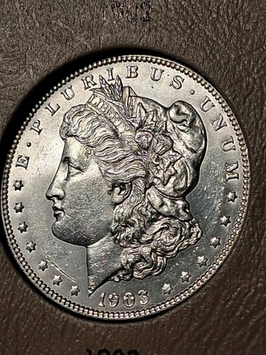 1903 dollaro argento - dollaro, d'argento