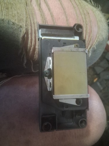 Dx5 testina stampa - testina,