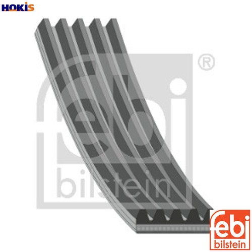 Cinghia vibrante 28824 - 28824, per