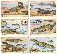 Figurine Lavazza serie n°260 Così si affermò la vita sulla Terra XIV ANNO 1968