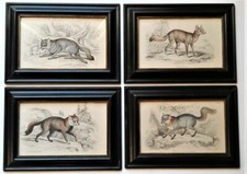 Collezione quattro stampe - collezione, di