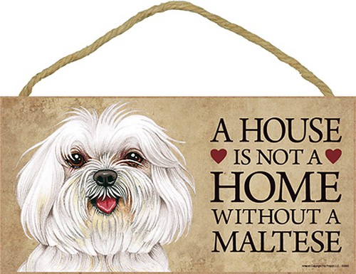 Maltese casa non home - È,