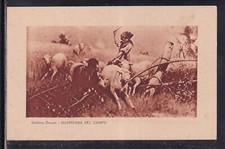 Cartolina Pittore Stefano