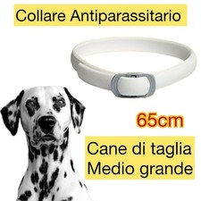 Offerta Collare