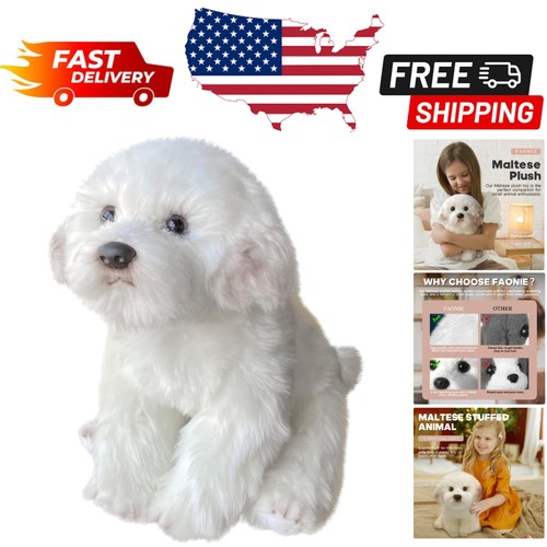 Affascinante peluche maltese - peluche,