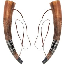 Corno che soffia con autentico