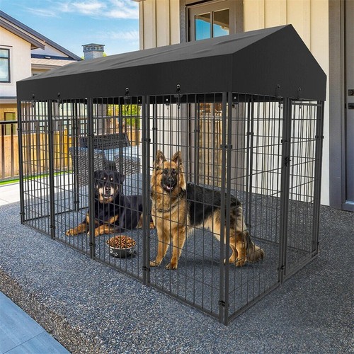 Nuova cuccia per cani - , da