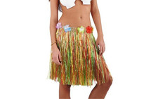 Gonna Hula Hawaii Multicolore