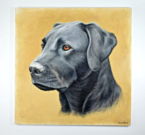 Stuart herod dipinto originale - stuart,