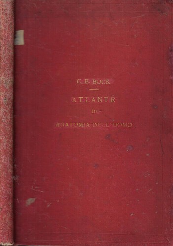 Atlante anatomia dell - atlante,