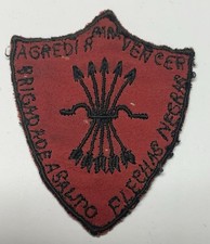 Distintivo Brigada Asalto