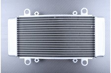 Radiateur d Eau Type Origine en Alu KAWASAKI NINJA 300R 300 R EX300A 2013-2016