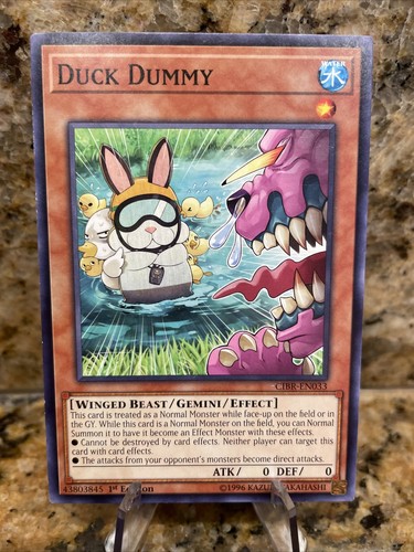 Duck dummy cibr - duck,