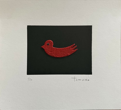 Giuliano tomaino calcografia - giuliano,