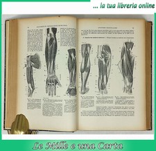 Libro anatomia fisiologia - libro,