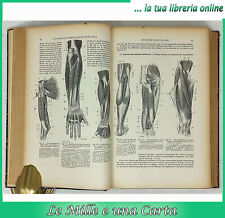 libro anatomia fisiologia umana zoologia ANATOMIE ET PHYSIOLOGIE HUMAINES Pizon