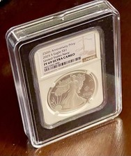 (5) Custodia protettiva