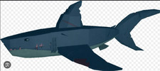 Carcharocles Megalodon