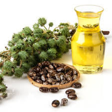 Olio di RICINO PURO Estratto a