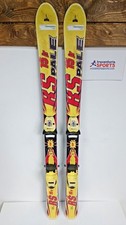 Sci Pale RS 15 JR 120 cm +