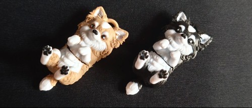 Chihuahua giocattolo - , o