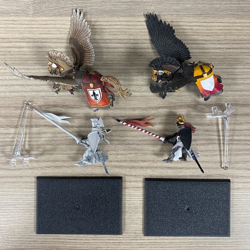 Cavalieri pegasus - cavalieri, di